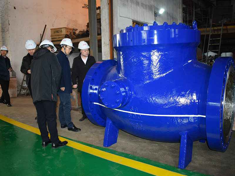 苗市长走访开云官方端网站登录入口-开云(中国)集团